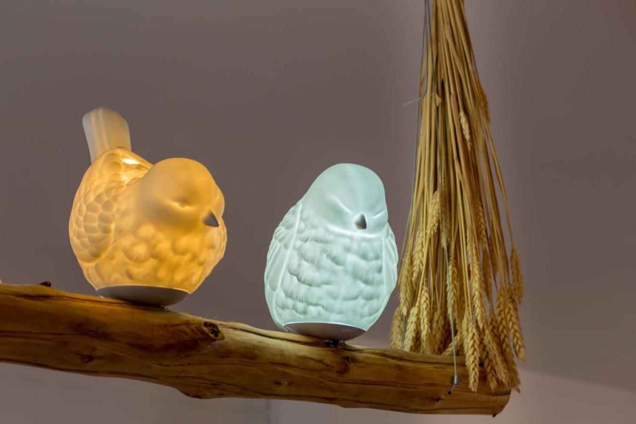 L'Oiseau Blanc ~ Centre Ville ~ Arrivee Autonome Μπλουά Εξωτερικό φωτογραφία
