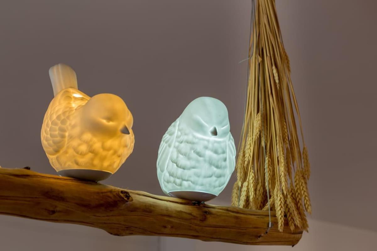 L'Oiseau Blanc ~ Centre Ville ~ Arrivee Autonome Μπλουά Εξωτερικό φωτογραφία